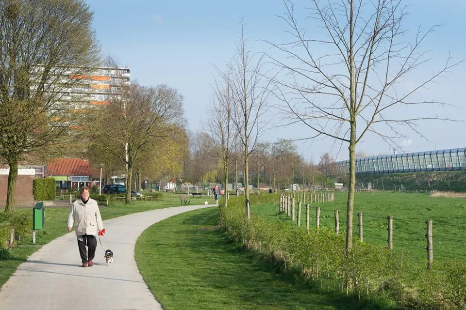 weidewerkdag 3