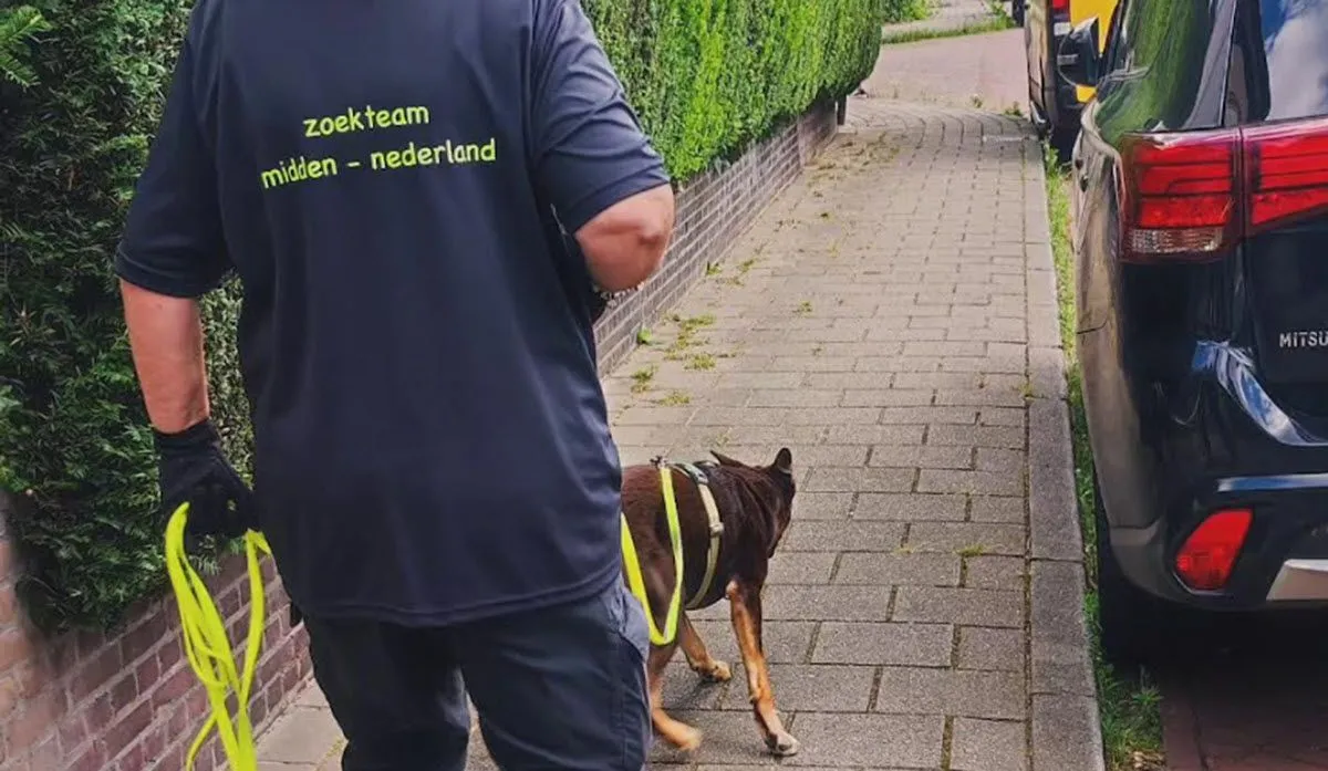 Poes Poppy herenigd met haar blije baasjes na een avontuurlijke 12-daagse zoektocht in Velp