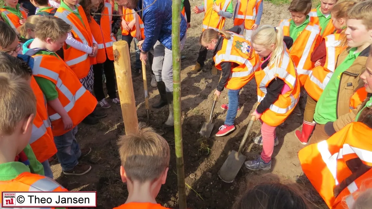 brinkweg 17 3 15 020