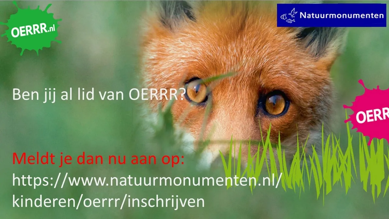 wilde buitendagen2