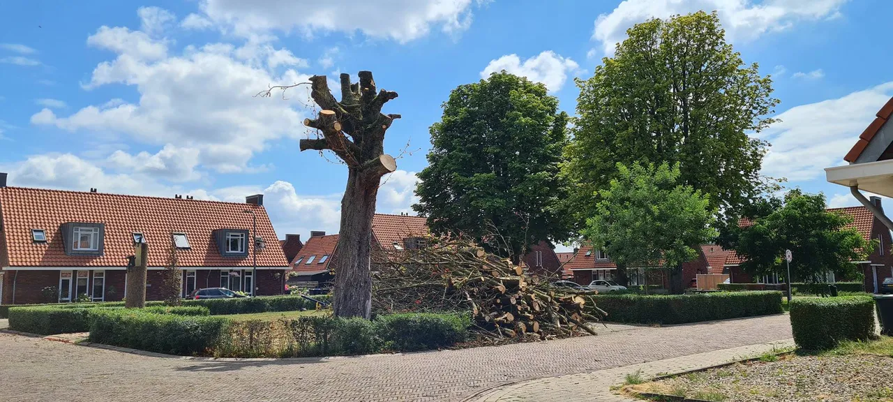 v Kolplein3 RN