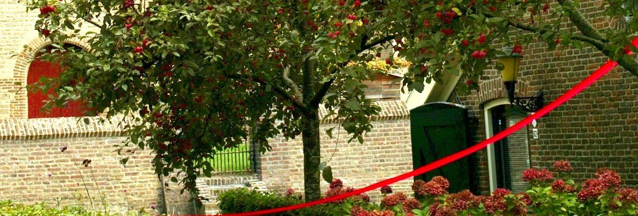 Henk de Jong rode linten Ellecom2