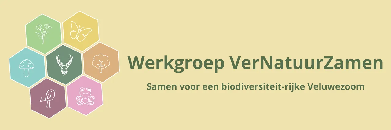 Logo VerNatuurZamen - IVN Oost-Veluwezoom
