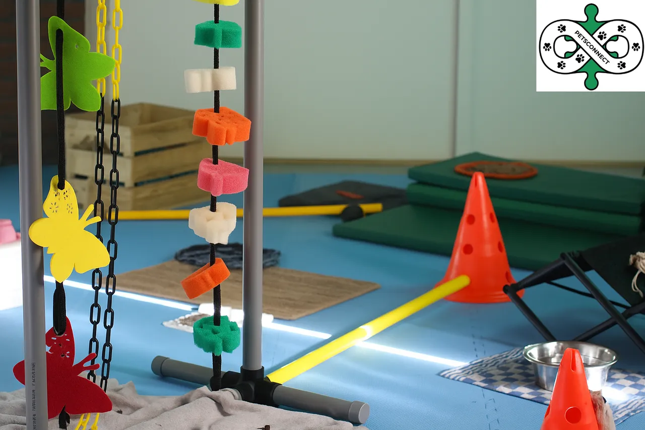 Sensory Room
