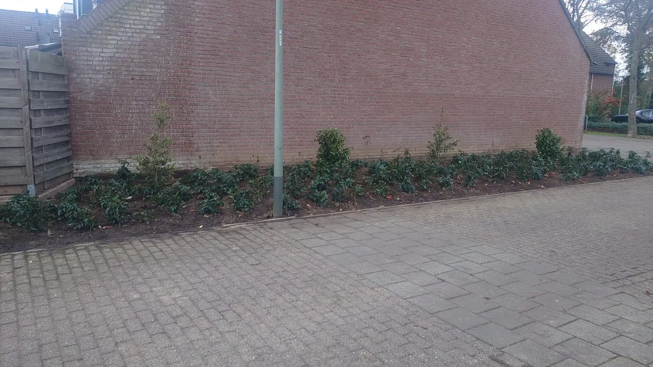 20201121 103537