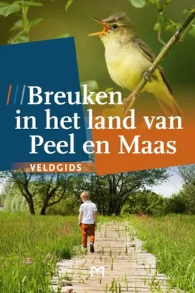 afbeelding1 1