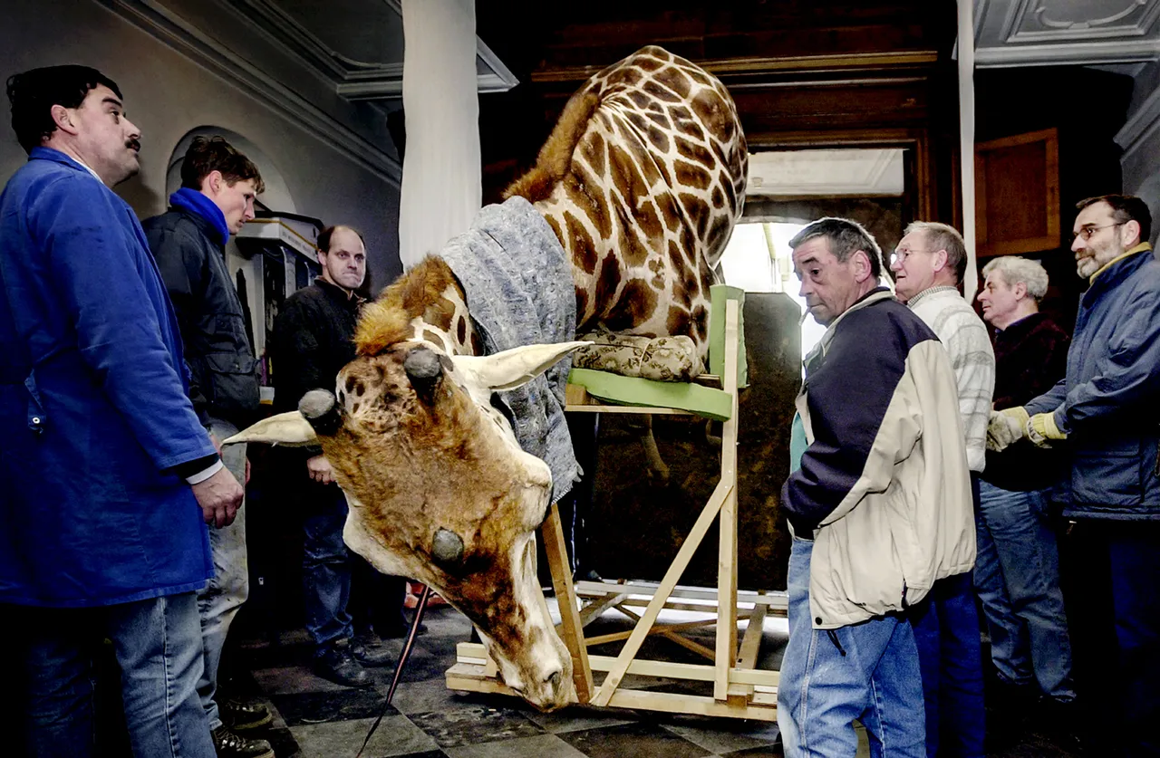 persfoto franco gori expo tijdsbeeld cuypershuis roermond web