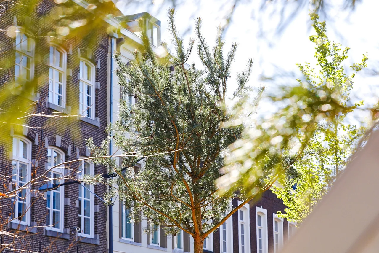 stadsbos roermond 4