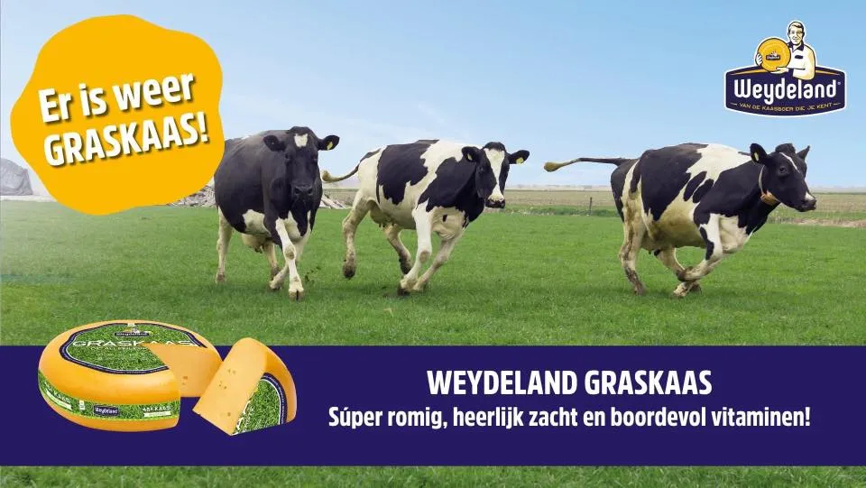 weideland