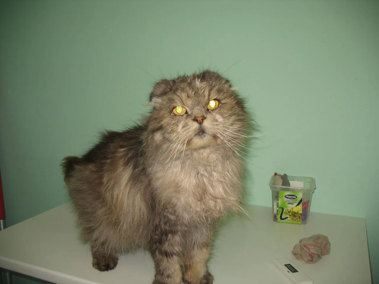 25 3eersteverdelingwegputte