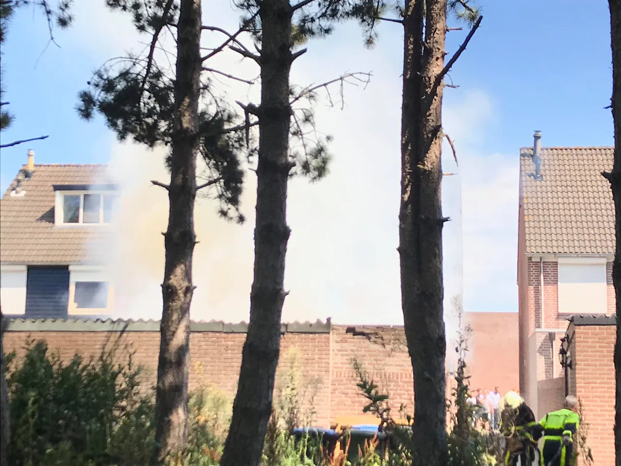 67373952 2361616920591565 1346803221770797056 n