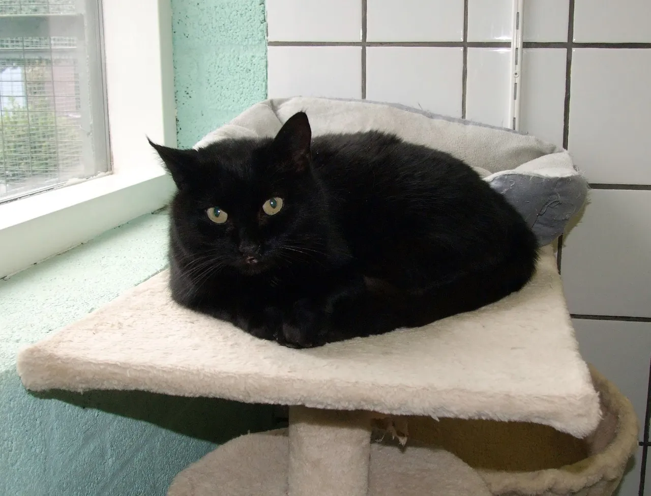 babette16 1