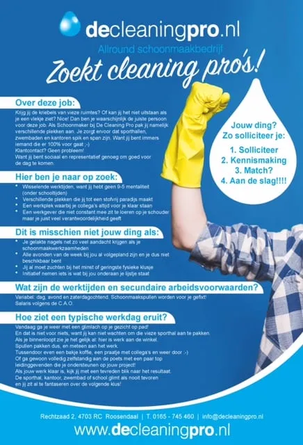 cleaning pro flyer