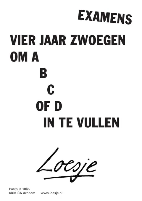 schoolexamen loesje