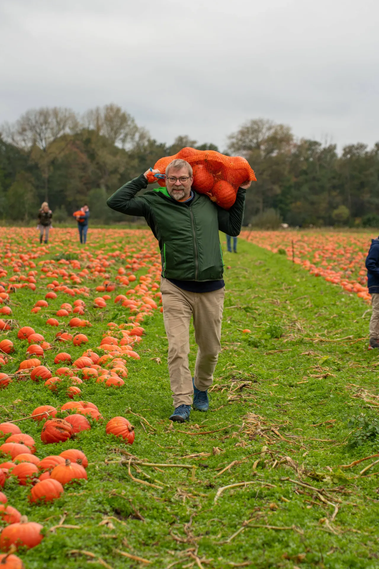 Beelden eerste plukdagen