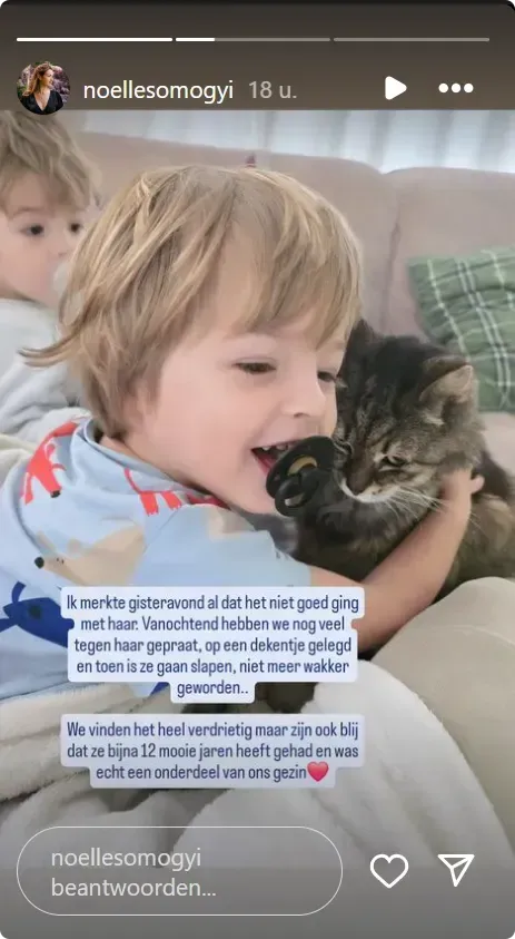 vlinder