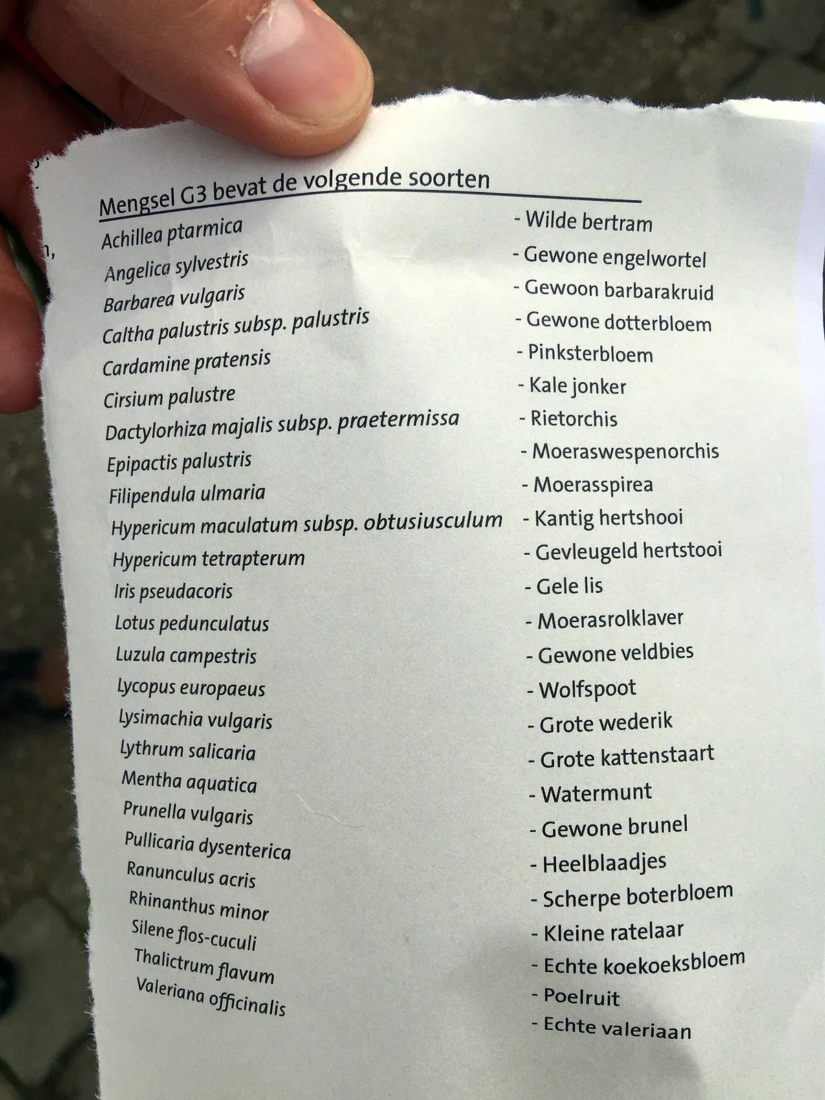 basia irland ice books 4 zaden