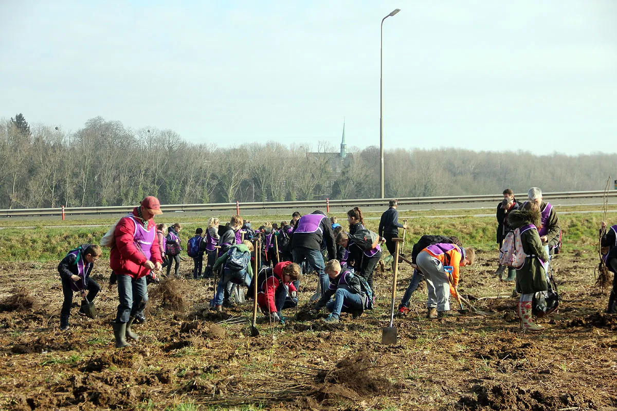 boomfeestdag 2018 windraak 2