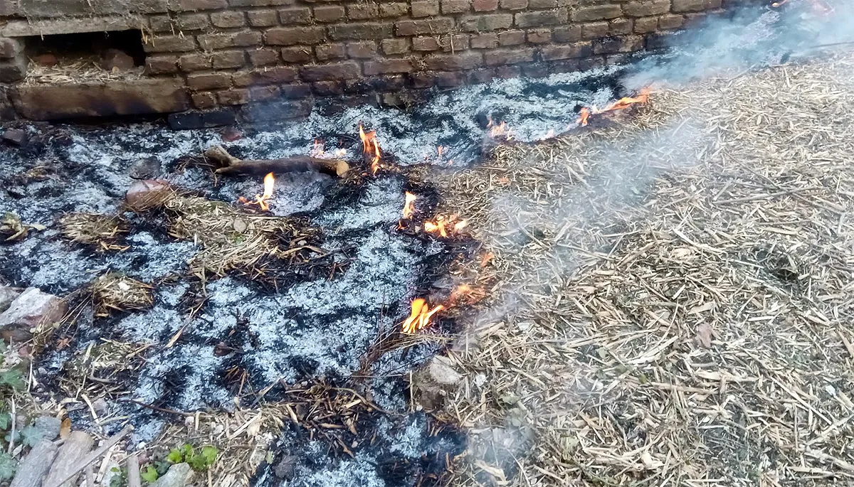 brand kasteelpark born 2