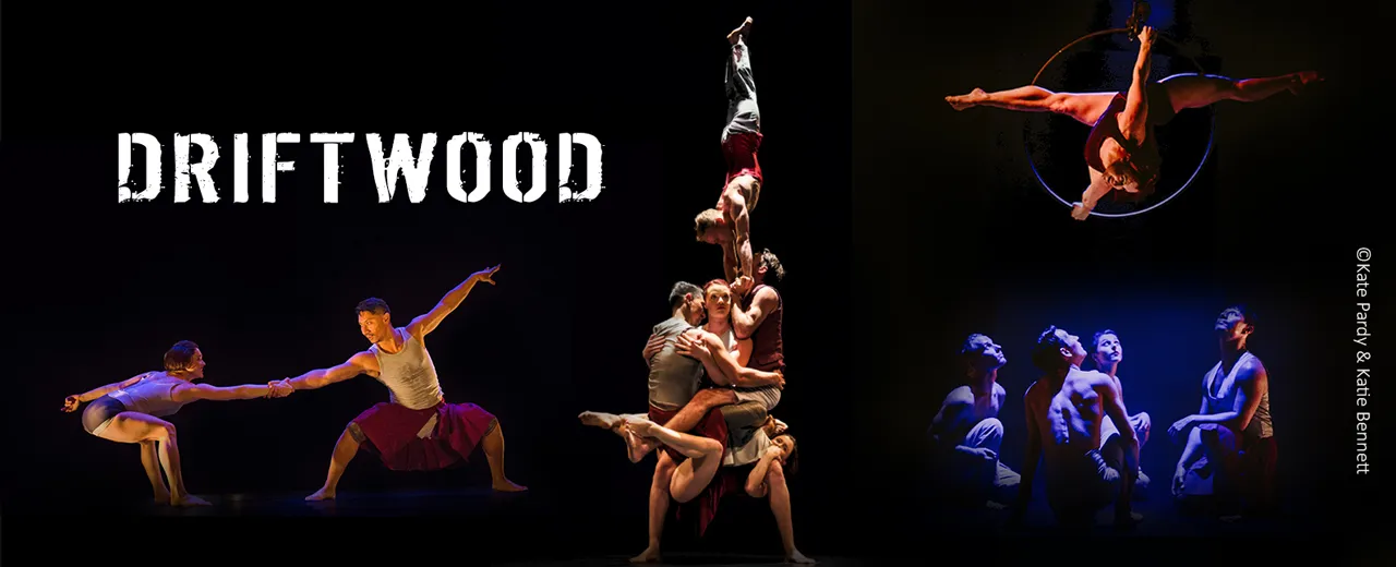 casus circus driftwood de domijnen 12