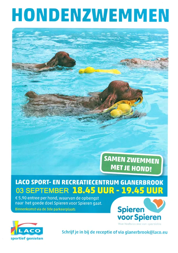 hondenzwemmen 03 09 2017 002