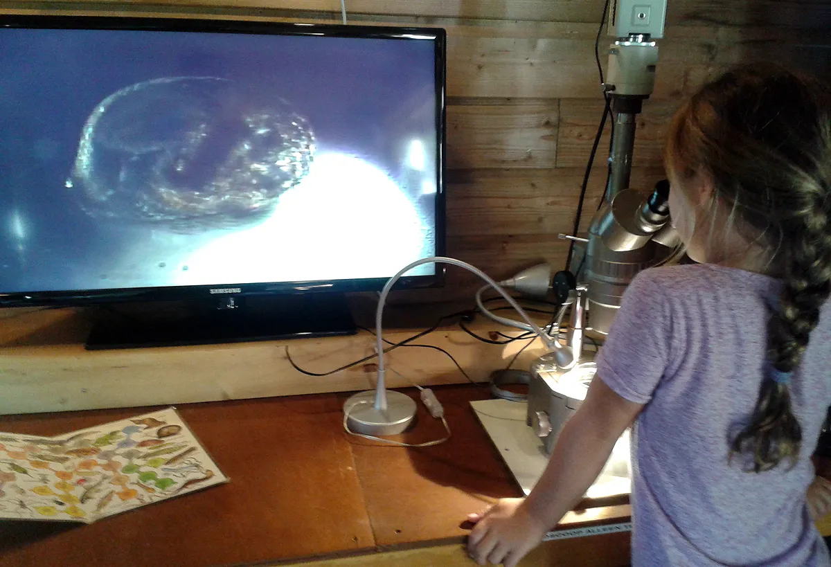 ivn slootjesdag waterdiertjes microscoop zoekkaart