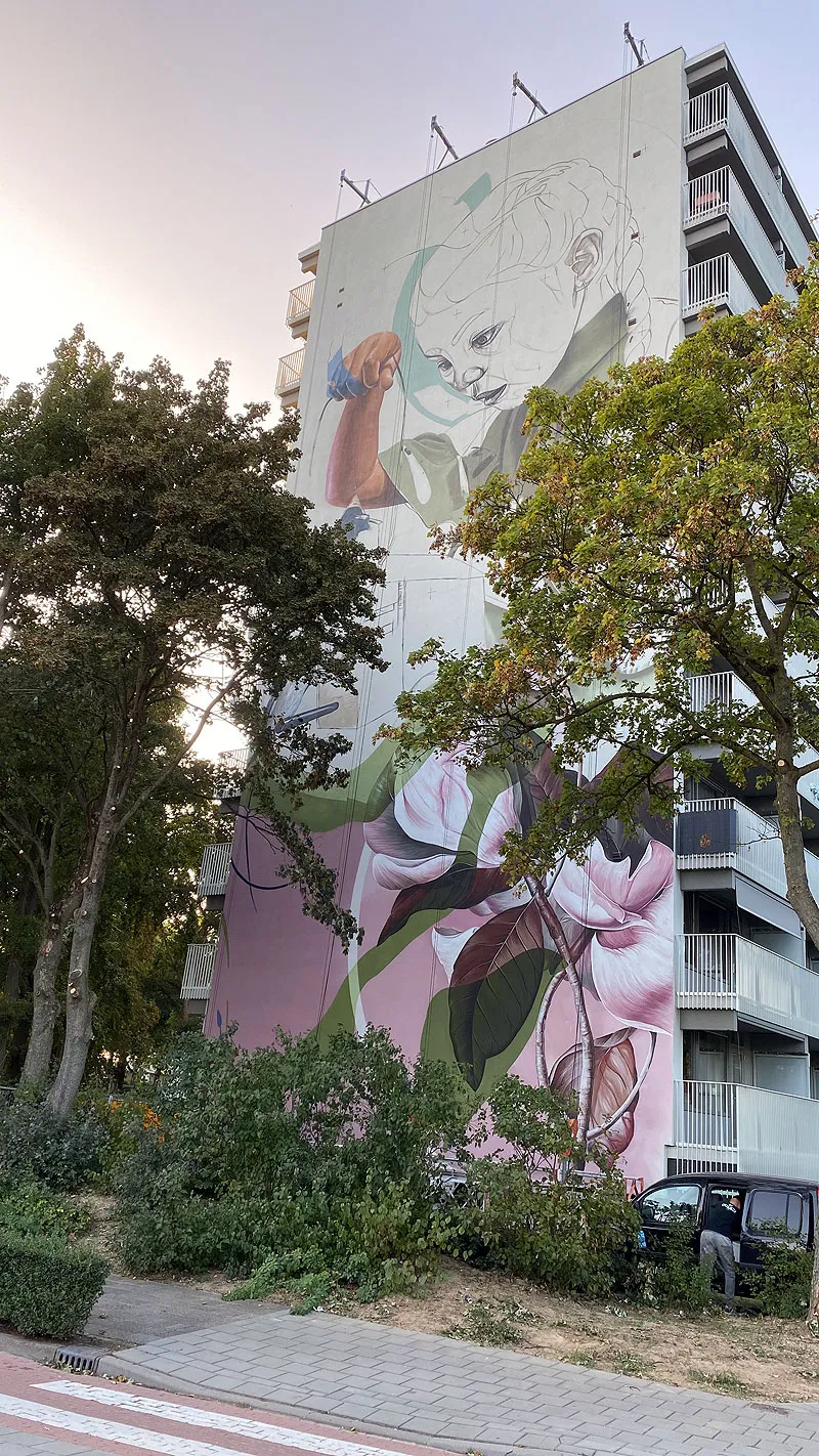 mural van goyenflat geleen