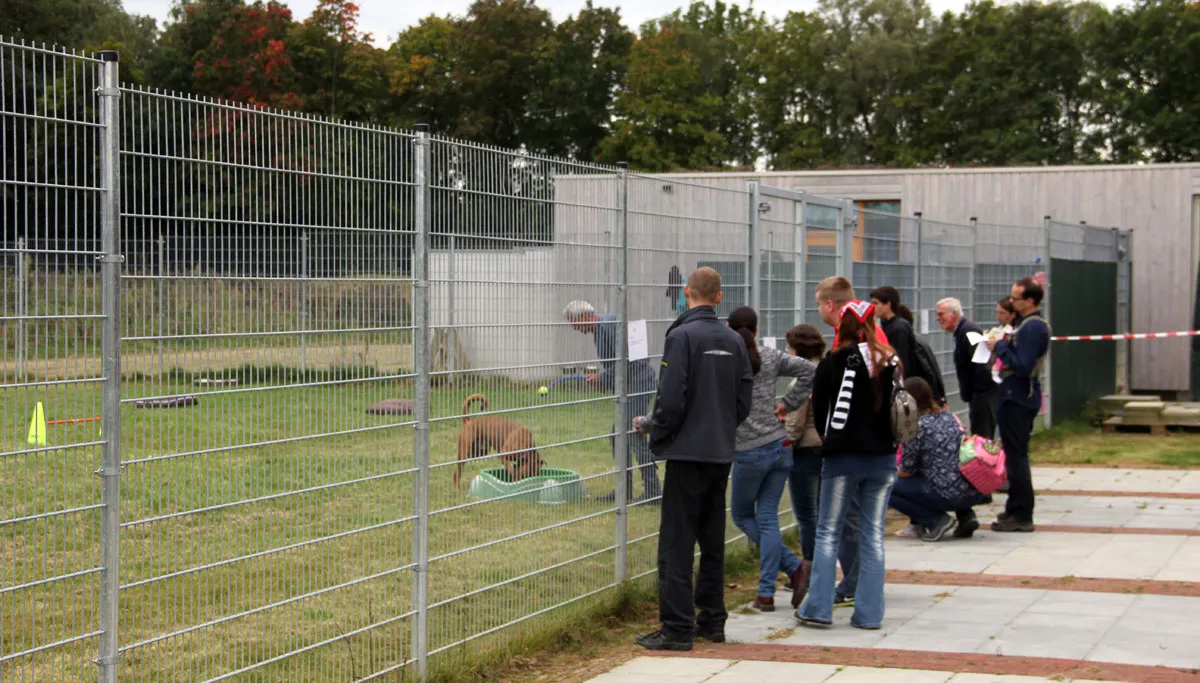 open dag dierenbeschermingscentrum limburg werelddierendag 2015 1