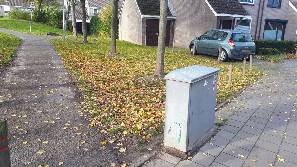 perkje mogelijk geadopteerd door buurtbewoners