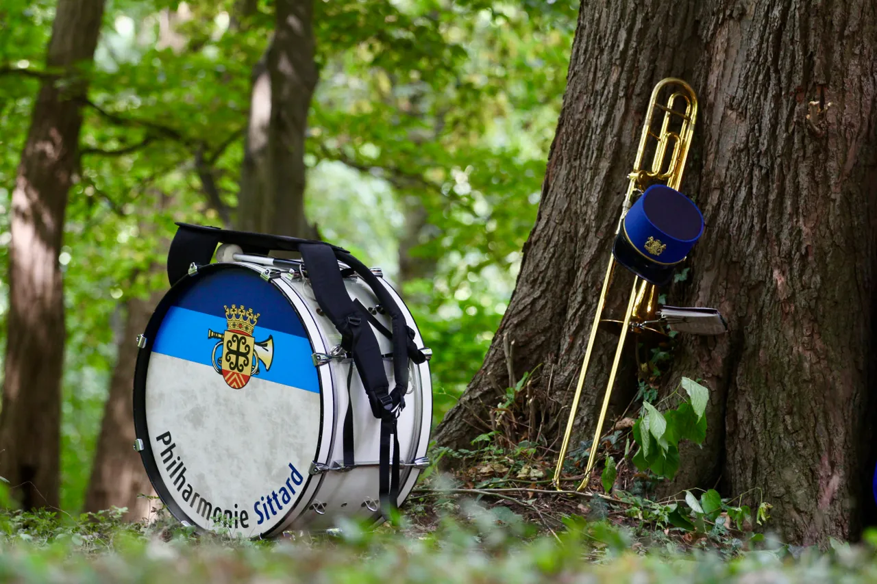 philharmonie dikke trom