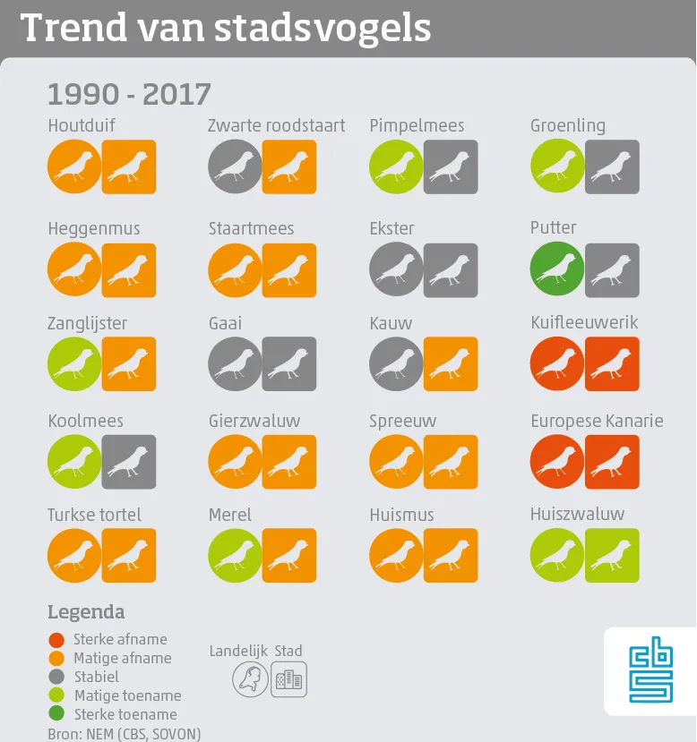 trend20van20stadsvogels1