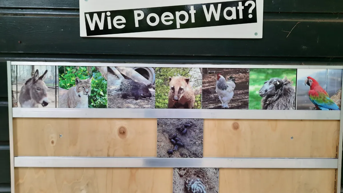 wie poept wat