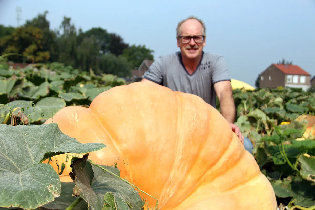 pompoenen jabeek 5