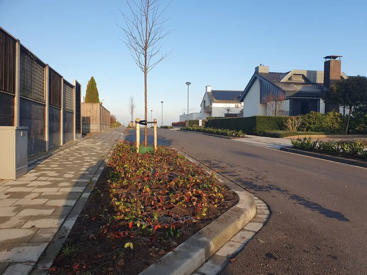 Vrijheidslaan Limbricht