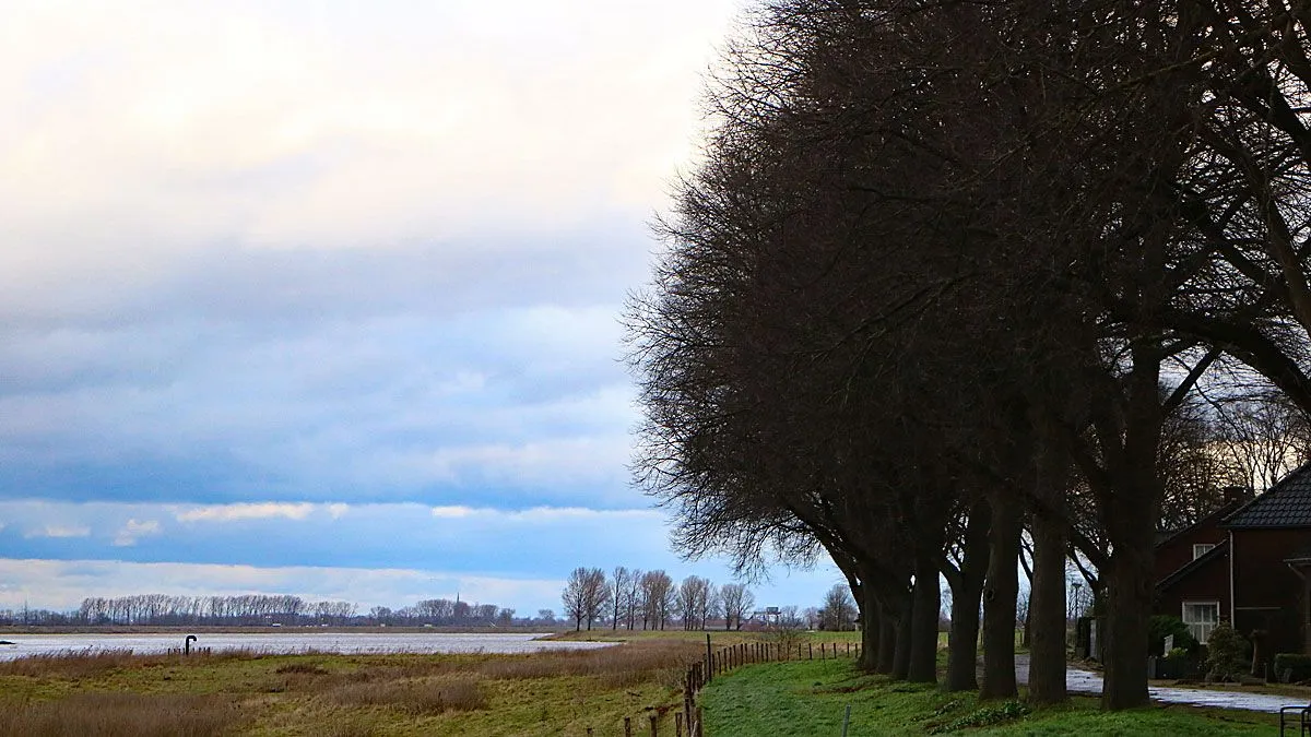 Aan de Dijk bij Grevenbicht