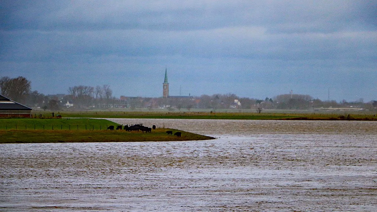 Zicht op Maaseik vanaf hoogwaterbrug bij Illikhoven