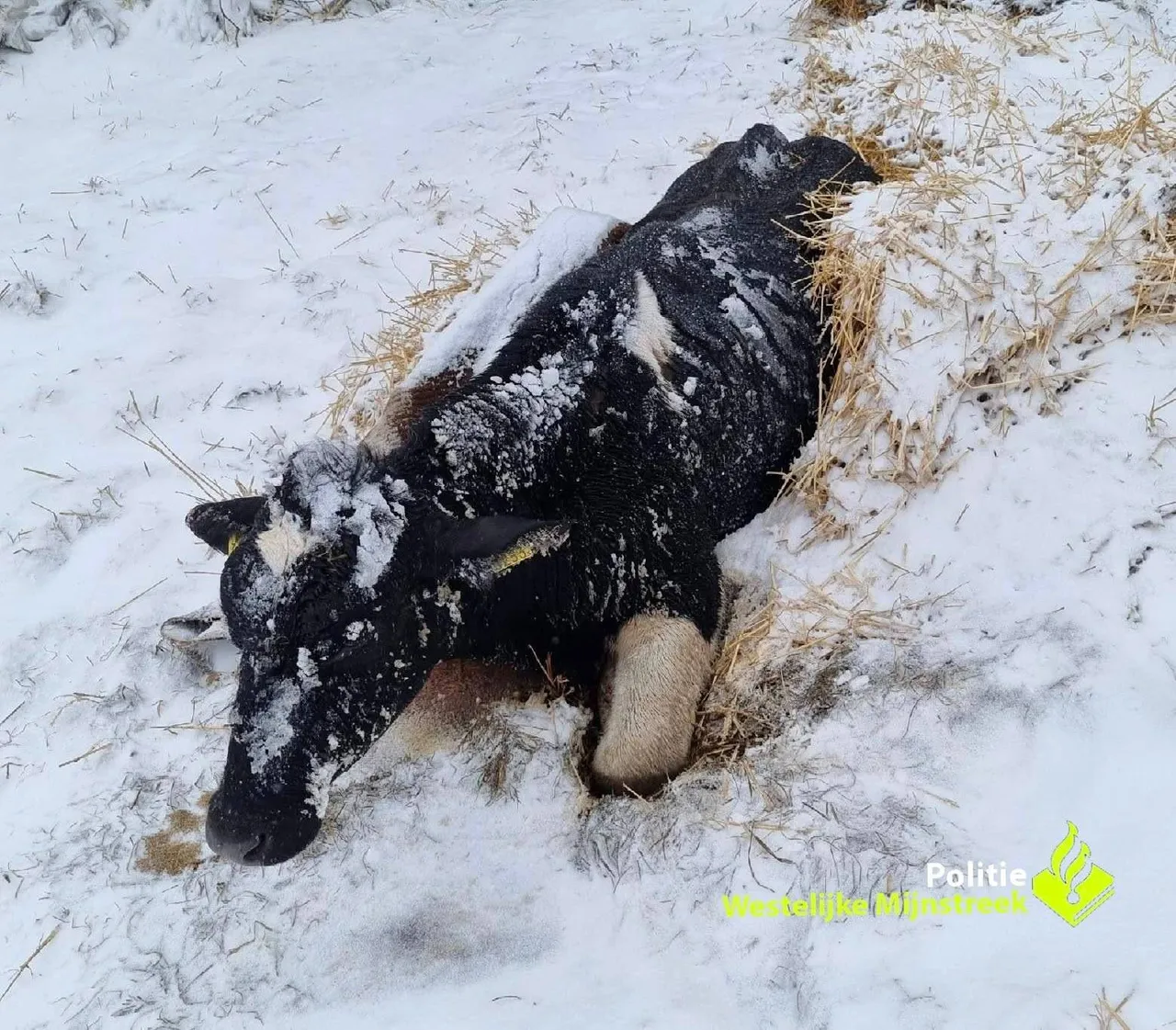 Politie Westelijke Mijnstreek