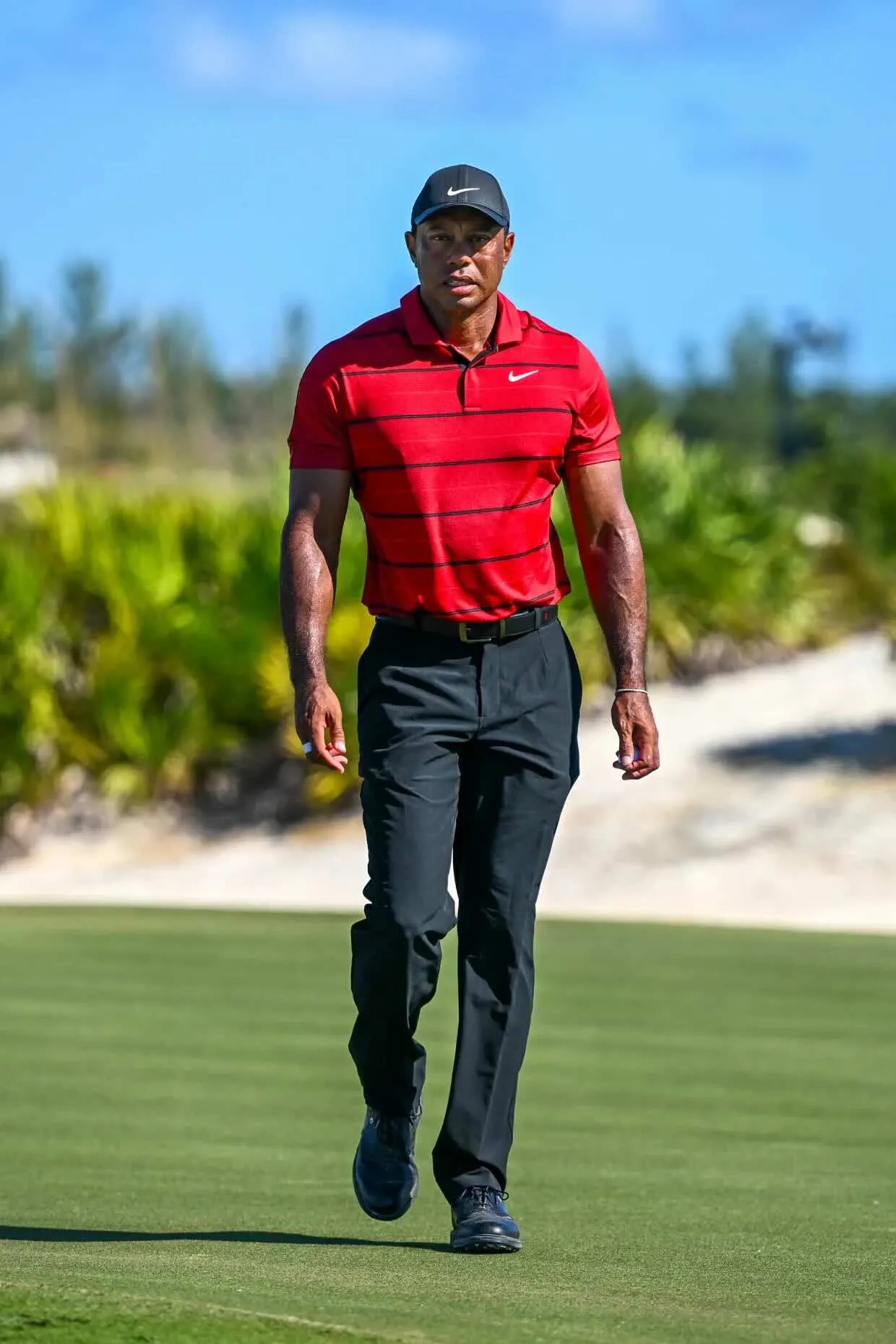 tiger woods 3