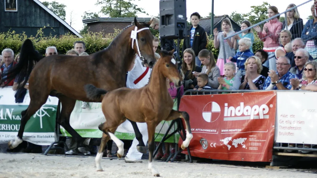 5528404 orig e1430993124923