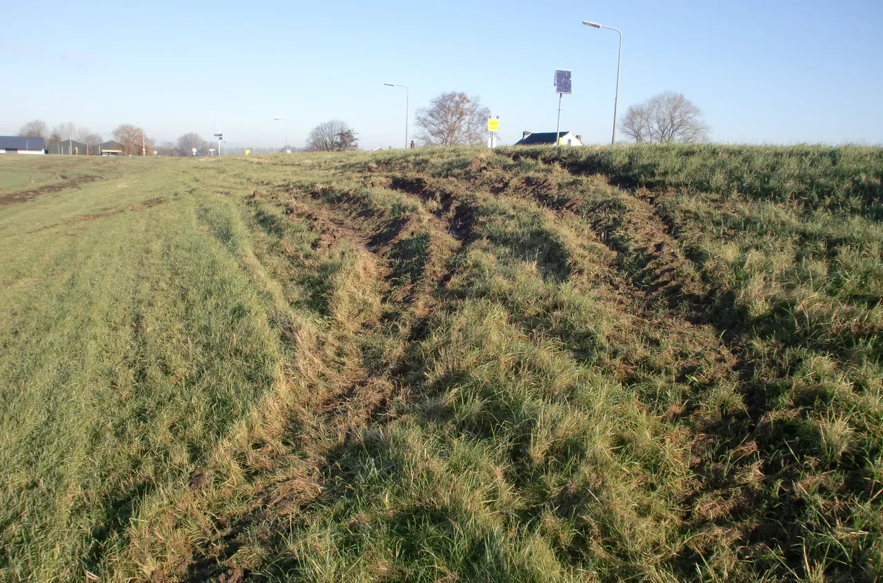 dijk rijspoorschade