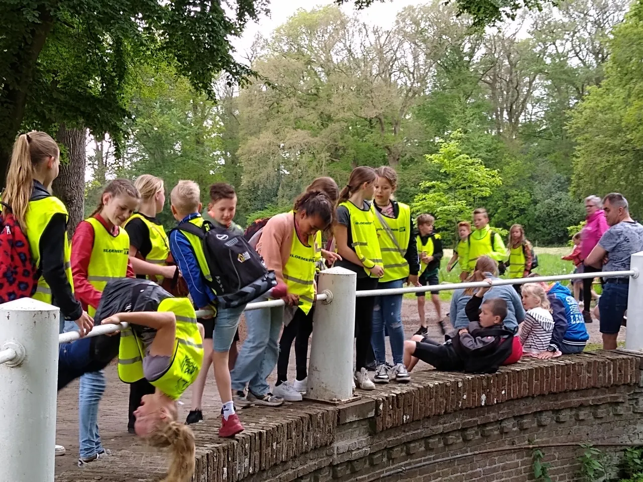 woensdag ijhorst