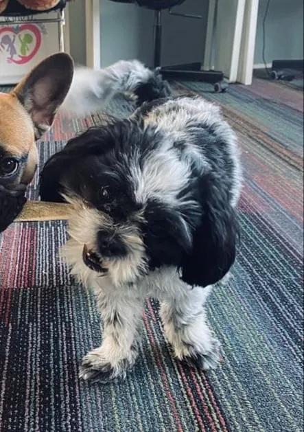 ae20dae5 9480 4268 b289 bdec77413f3c