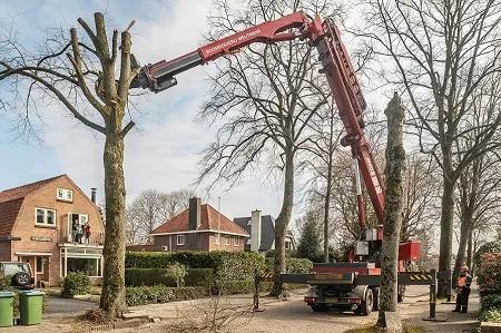 weijtmans 1