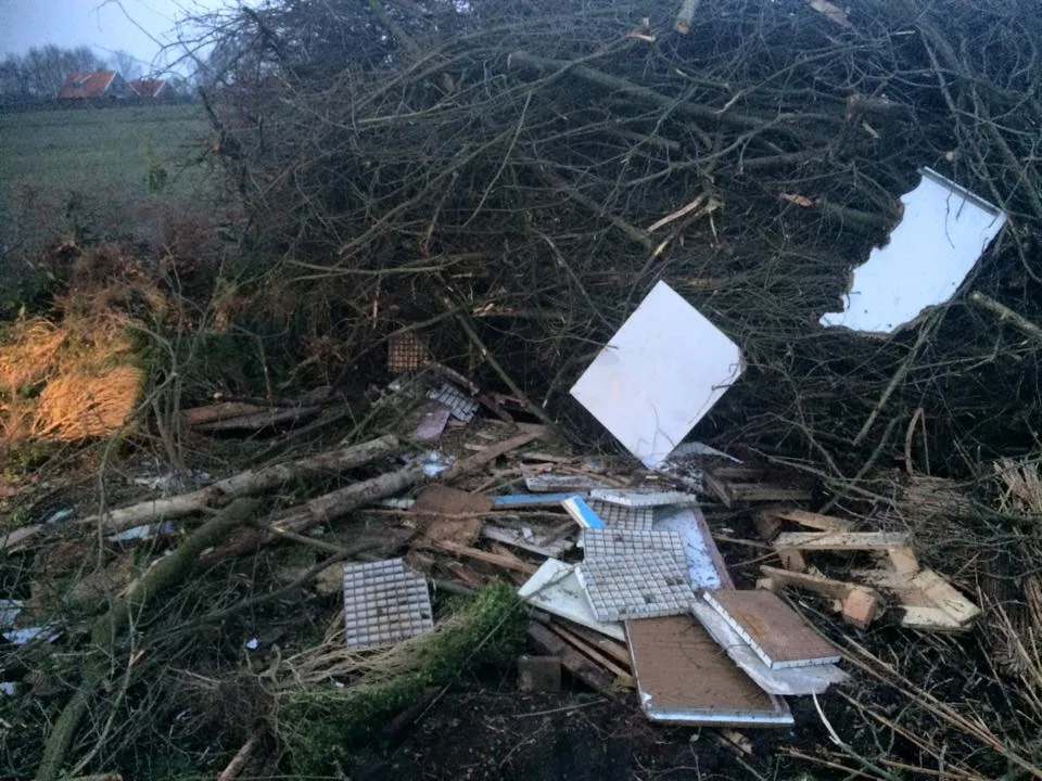 10926360 419269178251846 2223382135272012503 n