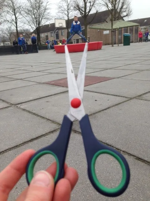 schaar