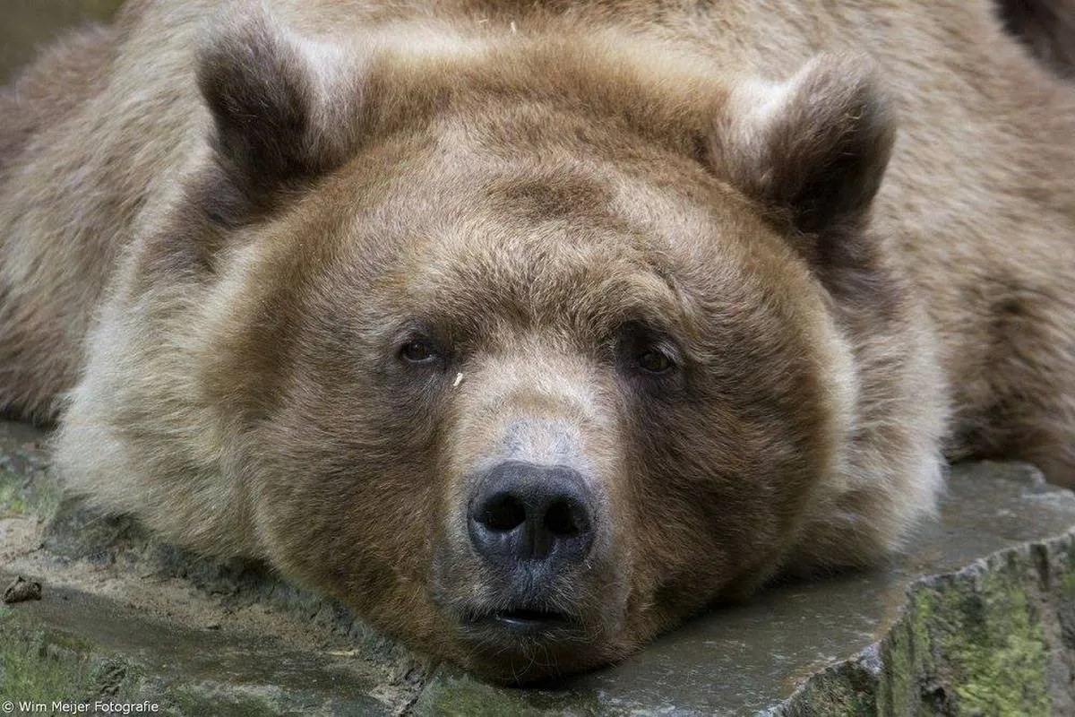 12465903 1157231094288841 5935161773265242923 o