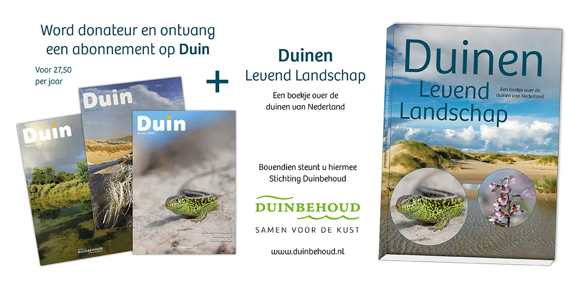 duinen leven landschap duin 1