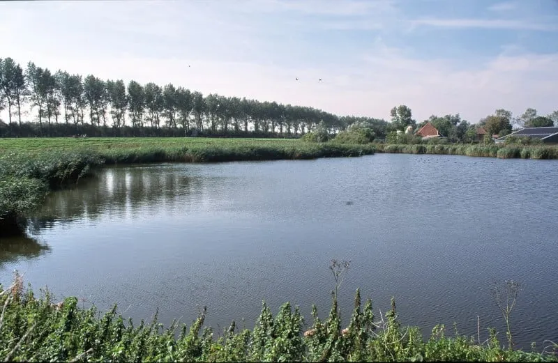 f8d8e556f06988cb24c1ebd81acf8a1a