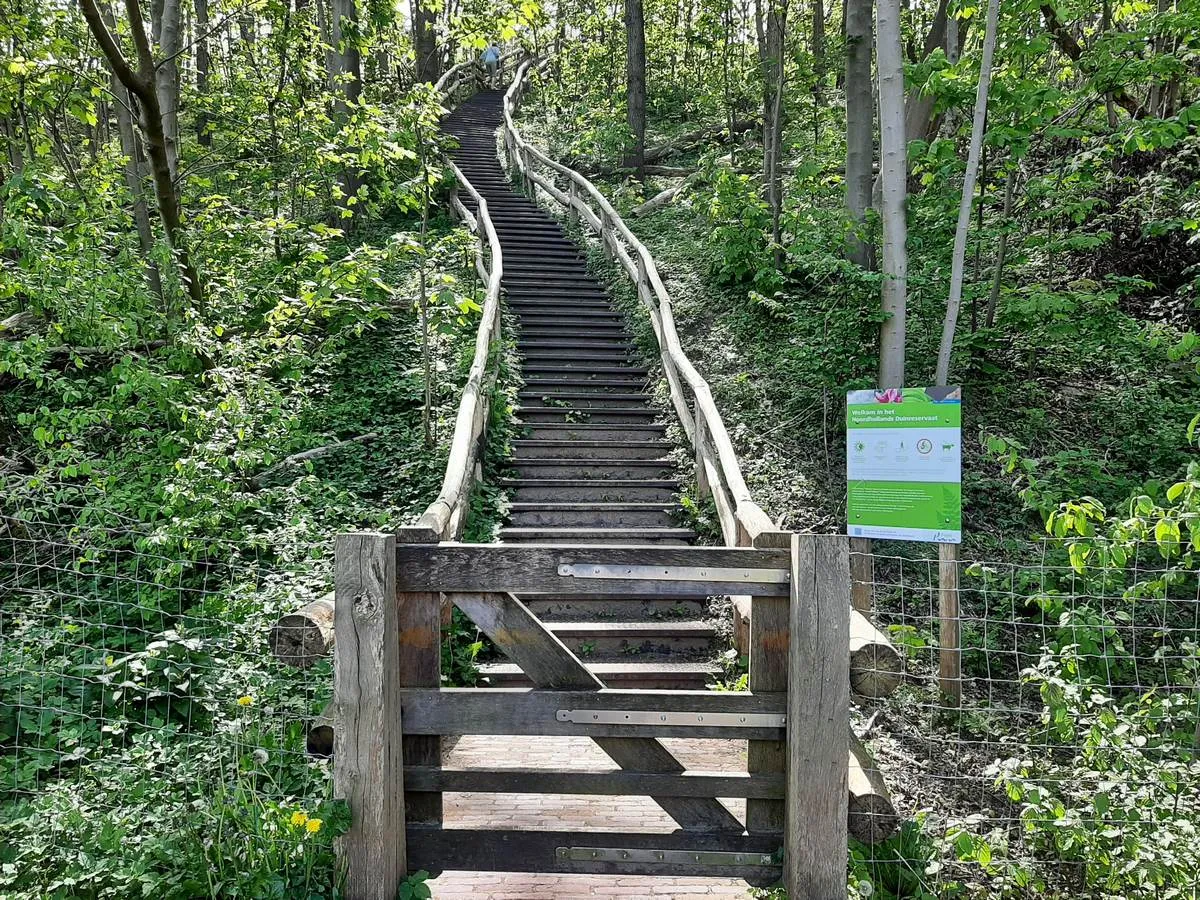 gemeente castricum