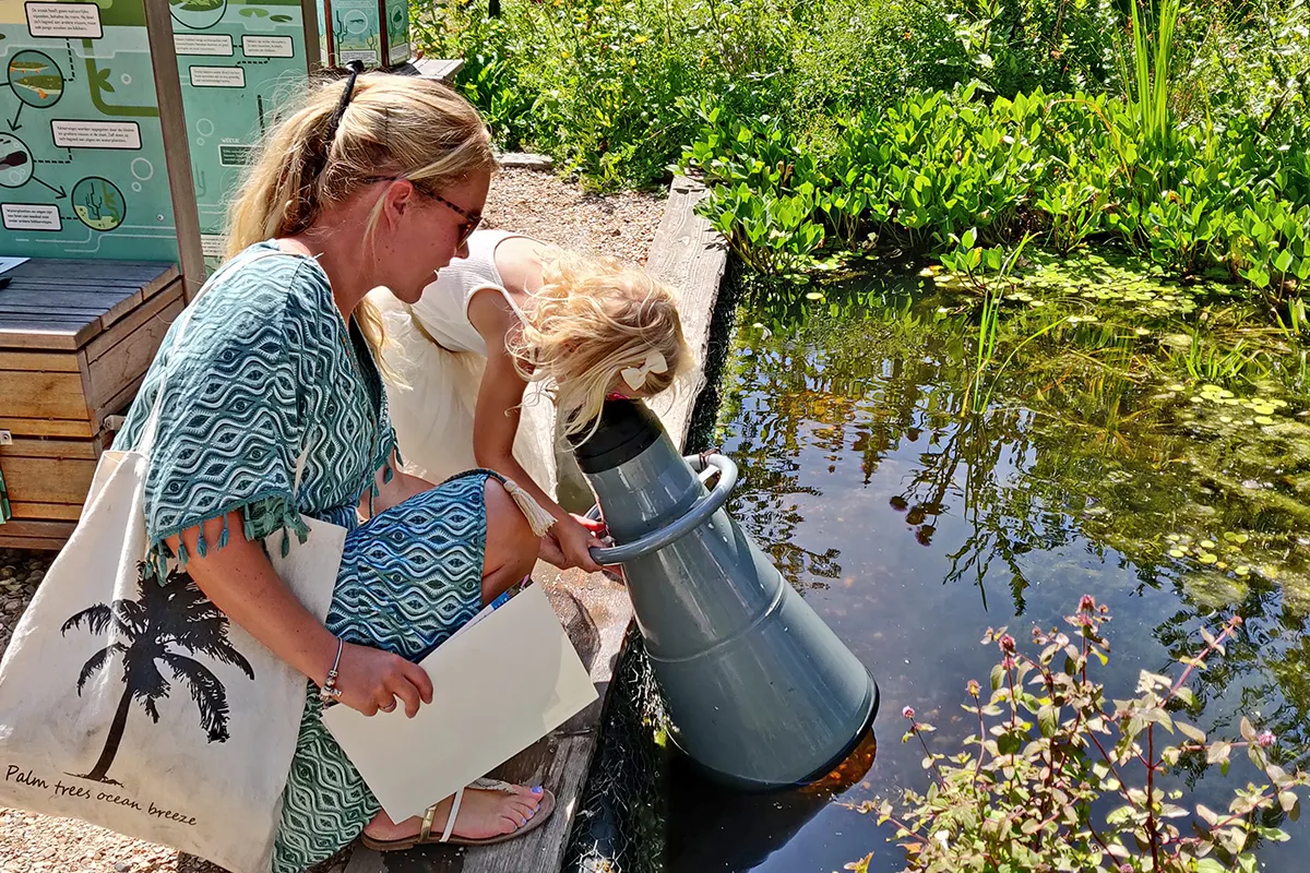 img 20220807 134147 kopieren